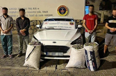 Gaziantep’te hırsızlık şüphelisi 24 şahıs yakalandı 