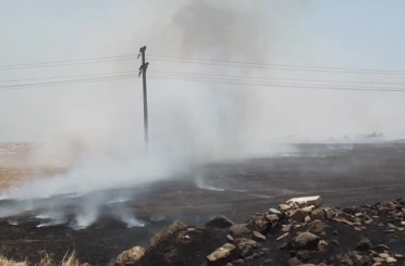 Gaziantep’teki anız yangınıyla ilgili 3 kişi gözaltına alındı 