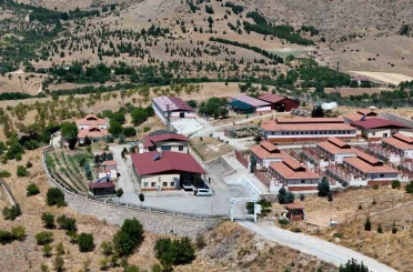 Geçici Hayvan Bakımevi ve Rehabilitasyon Merkezi’nde 15 bin sokak hayvanı tedavi edildi 