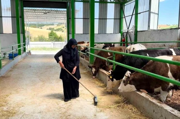 Gediz’de 12 milyon TL’lik büyükbaş besi işletmesi faaliyete geçti 