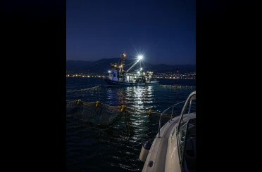 Gemlik Körfezi’nde sardalya avcılığı başladı 