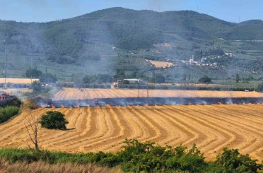 Gemlik Serbest Bölge yakınında yangın 