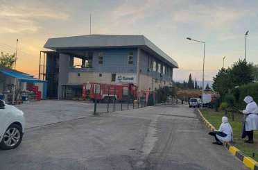 Gemlik Serbest Bölge’de çıkan yangın paniğe neden oldu 