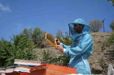 Genç arıcıdan Ankara kanyon balı: Bin 200 çeşit endemik bitki türüyle yılda 2 ton bal üretimi 