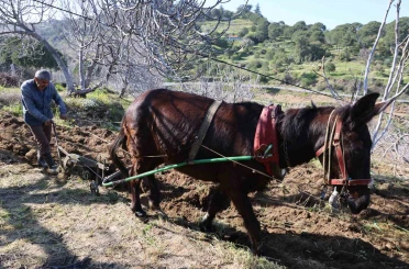 Gençler köyü terk edince iş yaşlılara kaldı 