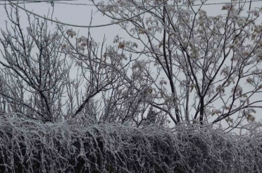 Gercüş beyaz örtüyle kaplandı 