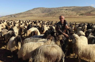 Gercüş’te göçerlerin zorlu yolculuğu 