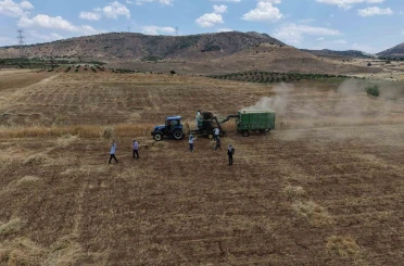 Gercüş’te kavurucu sıcakta ’oyun havalı’ hasat 