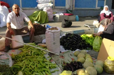 Gercüş’te organik ürünlerdeki bolluk fiyatları düşürdü 