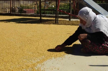 Gercüş’te yüzyıllardır devam eden bulgur kaynatma geleneği devam ediyor 