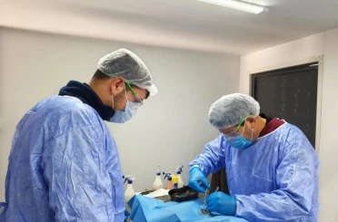 Germencik Belediyesi sokak hayvanları için kısırlaştırma çalışmalarını sürdürüyor 