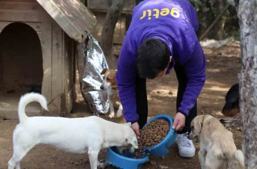 Getir’den bu yıl da 1 milyon kap mama desteği 