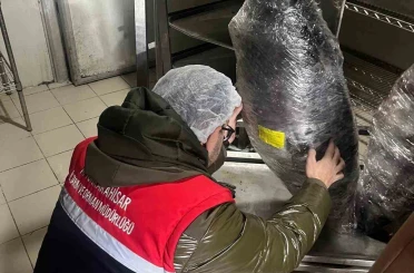 Gıda üretim ve satışı yapan işletmelerine yönelik denetim 