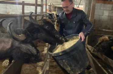 Giresun’da 286 manda işletmesine 12,3 milyon TL destek 