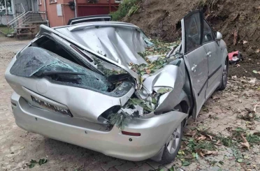 Giresun’da devrilen ağaç bir aracı kullanılamaz hale getirdi 