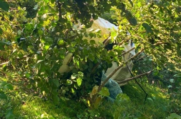 Giresun’da kamyonet fındık bahçesine devrildi: 1 ölü 