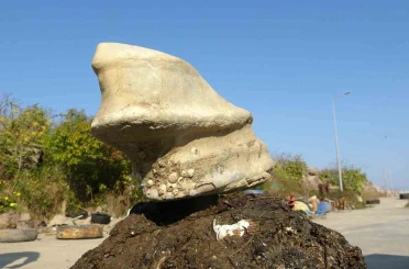 Giresun’un Bulancak ilçesinde denizde bulunan cisim balıkçıları şaşırttı 