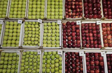 Gölcük’te en lezzetli elma ve armutlar vitrine çıktı
