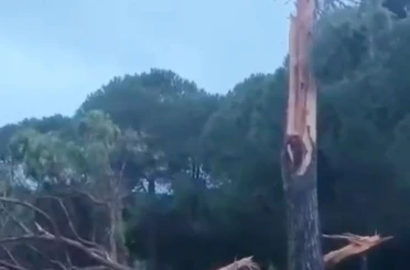 Golf sahasına düşen yıldırım ağacı parçalara ayırdı 
