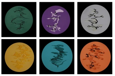 "Gölgede Bir Yer" sanatseverlerle buluştu 