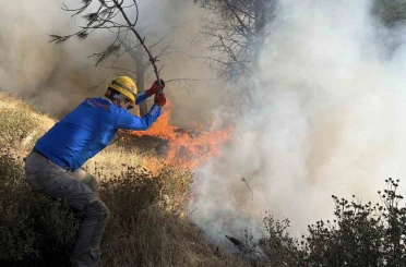 Gömeç’teki yangında 52. saat: Alevlerin ilerlememesi için adeta etten duvar örüldü 