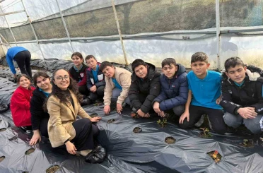 Gördes’te çilekler engelliler için yetişecek 