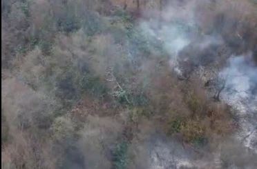 Görele’de örtü yangını korkuttu 