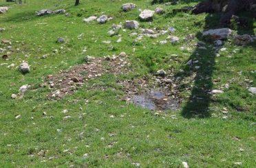 Gülistan Doku’nun ilk gömüldüğü iddiaya edilen yer havadan görüntülendi 