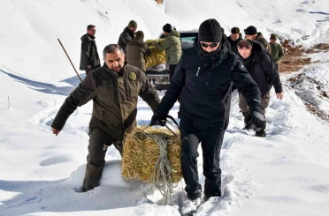 Gümüşhane’de aç kalan yaban hayvanları için seferberlik 