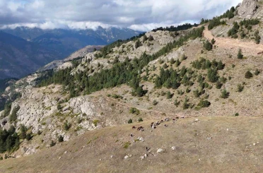 Gümüşhane’de genç muhtarın Türkiye’ye ilham veren başarı hikayesi 