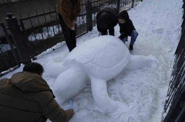 Gümüşhane’de "kardan kaplumbağa" ilgi odağı oldu 