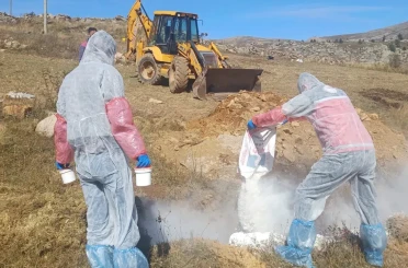 Gümüşhane’de şarbon hastalığı nedeniyle 6 köye giriş çıkış yasaklandı