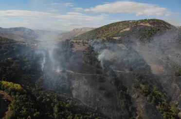 Gümüşhane’deki orman yangınında 30 hektar alan küle döndü