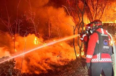 Güney Kore’de orman yangını: 200 futbol sahası büyüklüğünde alan küle döndü 