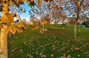 Güzelyurt sonbahar renklerine büründü 