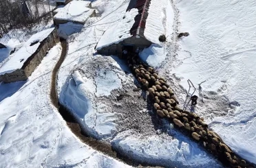 Hakkari’de 1 buçuk metreyi aşan karda çiftçilerin zorlu mesaisi sürüyor 