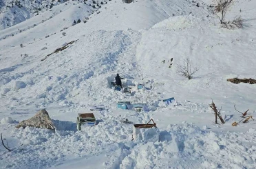 Hakkari’de 32 arı kovanı çığ altında kaldı 