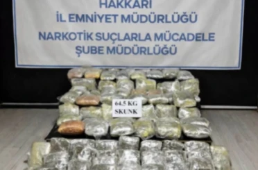 Hakkari’de 64,5 kilogram skunk ele geçirildi 