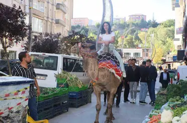 Hakkari’de deve ve midilli atları ilgi odağı oldu
