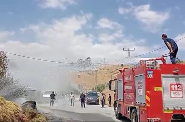 Hakkari’de saman balyaları alevlere teslim oldu 