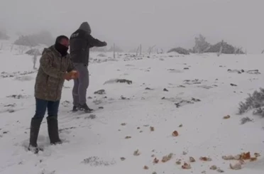 Halkapınar'da kar yağışı etkili oluyor