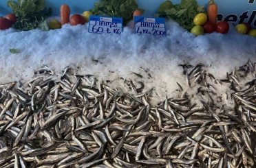 Hamsi fiyatı yüzleri güldürdü, kilosu 60 liraya düştü 