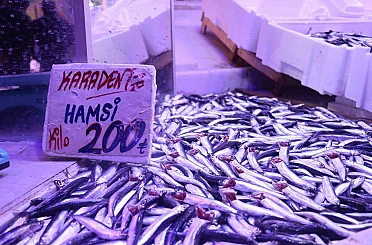 Hamsi tezgahlardaki tahtına yeniden oturdu 