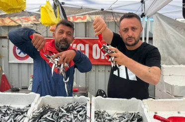 Hamsinin fiyatı 70 liraya indi, tezgahlar şenlendi 