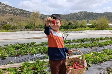 Hasadı çiftçi değil, vatandaş yaptı 