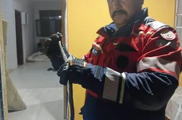 Hassa’da evde görülen yılan itfaiye ekiplerince yakalandı

