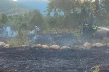 Hassa’da zeytinlik alan yangını 