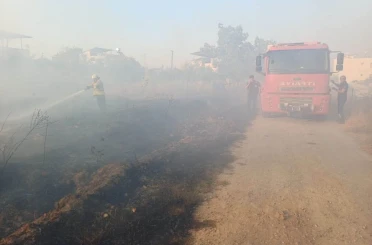 Hassa’da zeytinlik yangını yaşandı 