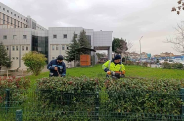 Hastane bahçelerinde budama ve bakım çalışması yapılıyor 