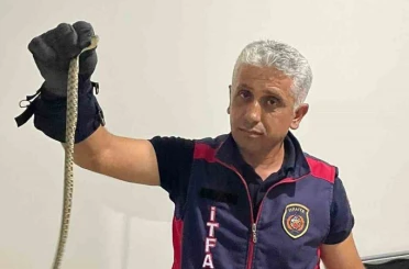 Hatay’da eve giren yılanları itfaiye yakaladı